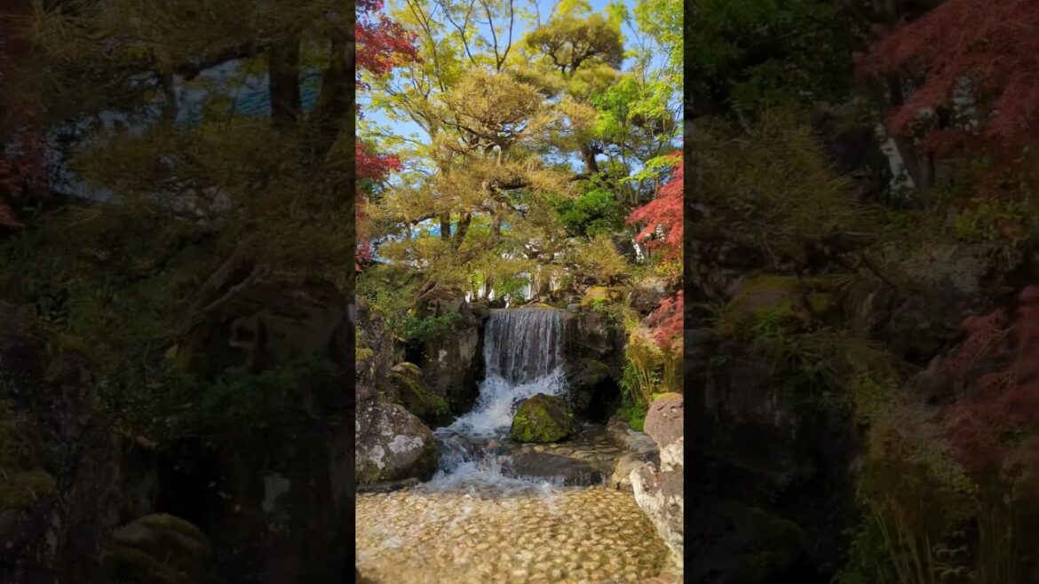 Relaxing Zen Garden Waterfall ASMR in Ojiya, Niigata, Japan #shorts #japan #japantravel #japanget