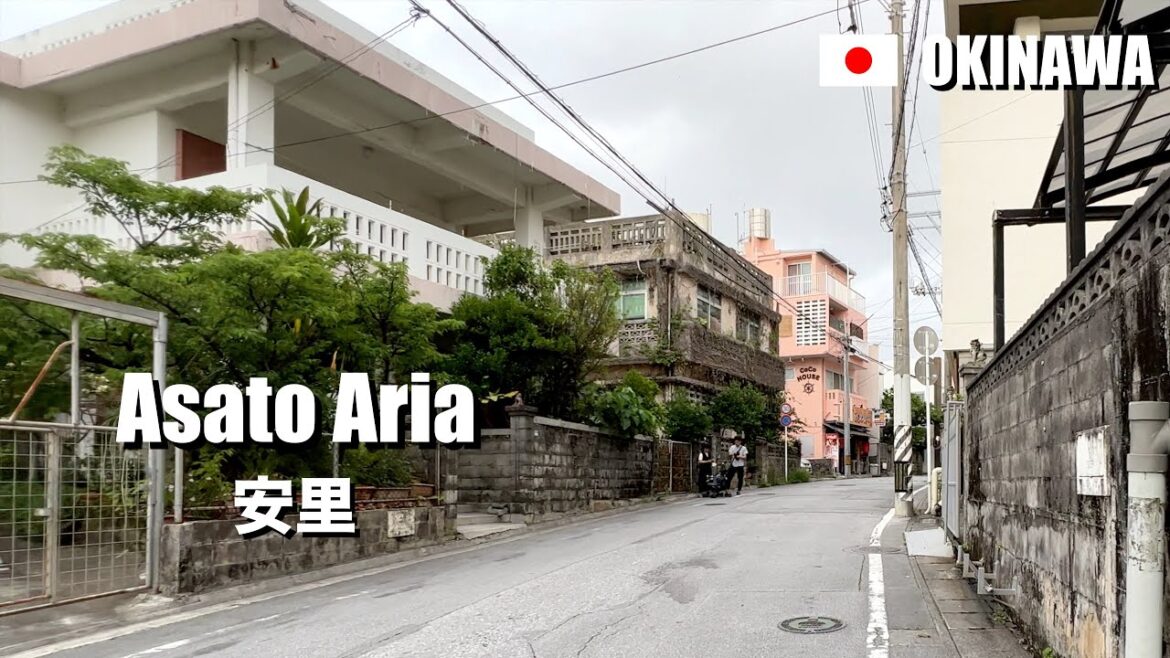 Typical Residential Area in Okinawa, Japan | 4K Walking