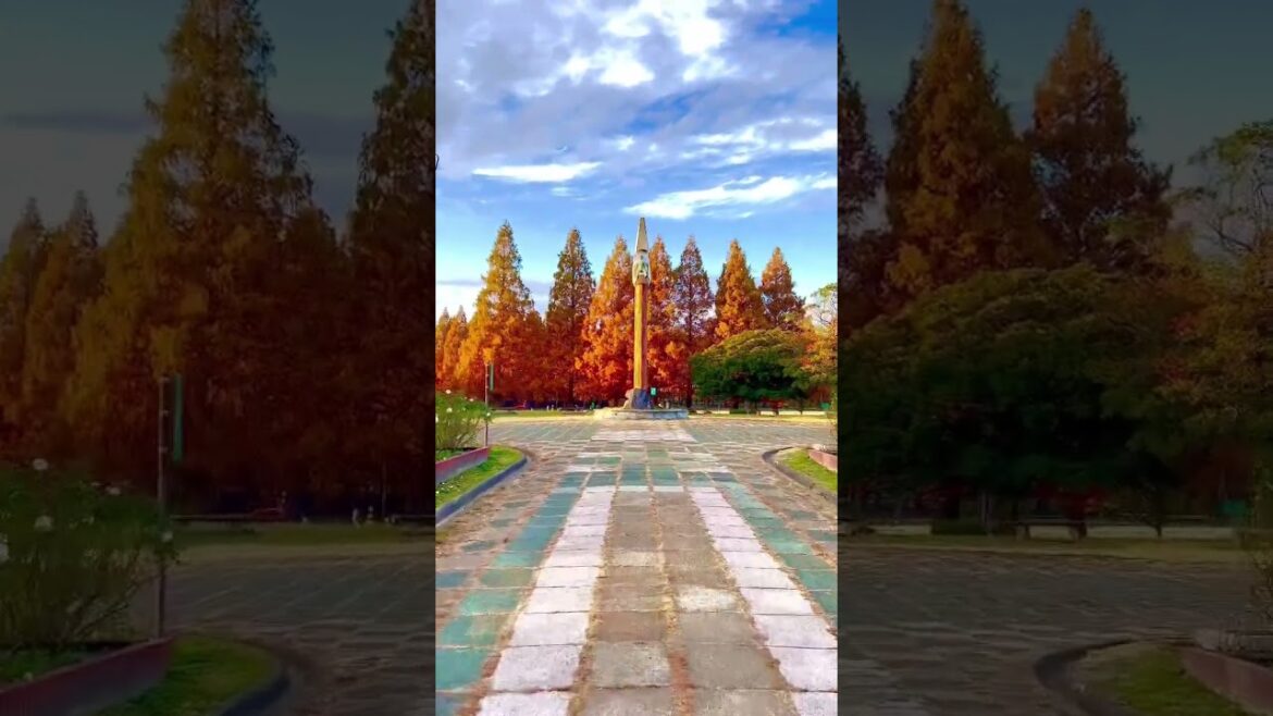 4K walk in japan park #shortfeed #shorts #nagoya #park #naturelovers#traveling #japantravel #trip