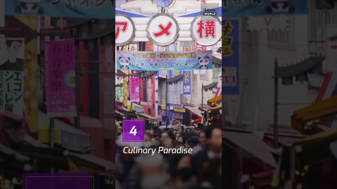 5 reason why Tokyo is one the best places to travel in the Japan 5 reason why Tokyo is one the best places to travel in the Japan