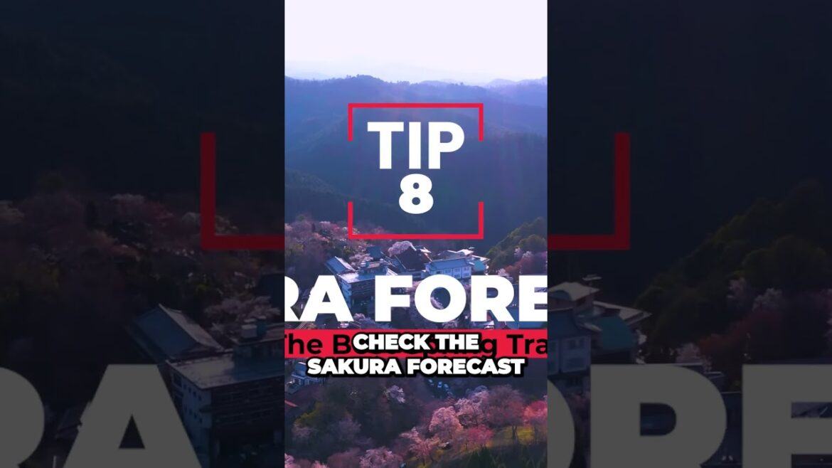 The Surprising Truth About Japan’s Iconic Mountain #japan #mountfuji The Surprising Truth About Japan's Iconic Mountain #japan #mountfuji