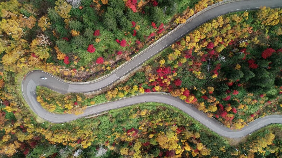 十勝岳温泉郷の紅葉2018