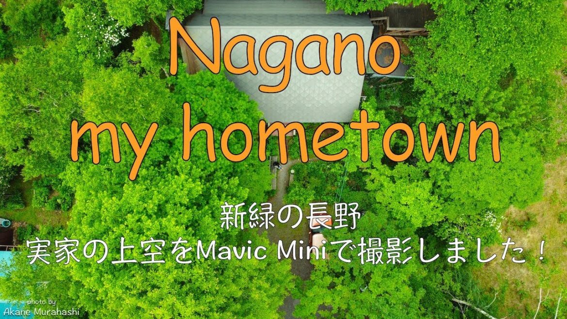 新緑の長野【Nagano - my hometown】実家の上空をMavic Miniで撮影＊2020年6月