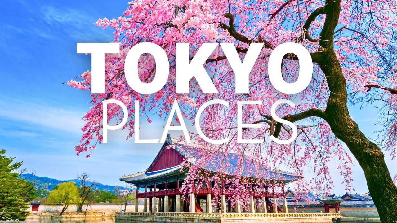 18 Best Places To Visit In Tokyo Japan Best Locations Things To Do 18 Best Places To Visit In Tokyo Japan Best Locations Things To Do