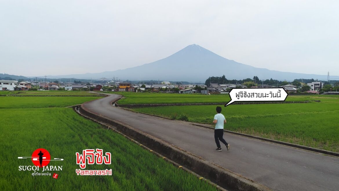 “ดูภูเขาไฟฟูจิที่คาวากุจิโกะ” SUGOI JAPAN – สุโก้ยเจแปน ตอนที่ 153 “ฟูจิซัง” (ํYamanashi) "ดูภูเขาไฟฟูจิที่คาวากุจิโกะ" SUGOI JAPAN - สุโก้ยเจแปน ตอนที่ 153 "ฟูจิซัง" (ํYamanashi)