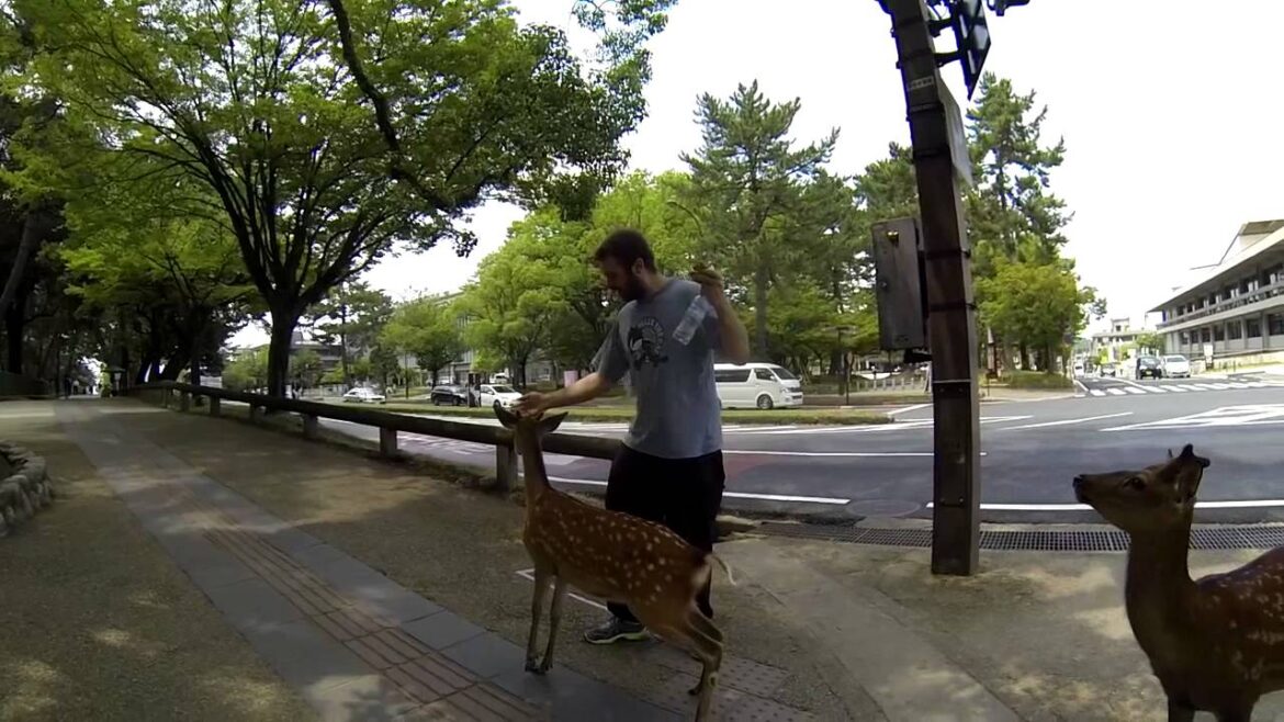 MON VOYAGE AU JAPON - Japan trip façon Vlogger du monde