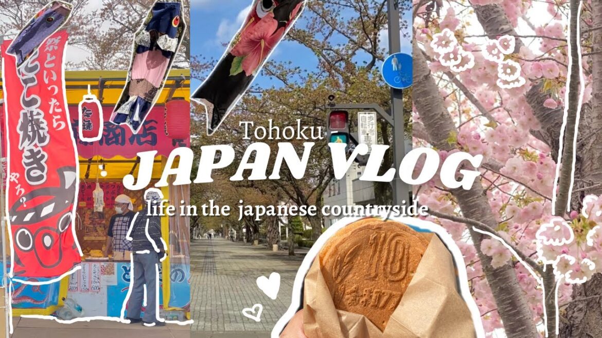 Japan vlog | driving in the countryside, festival, what I ate, Towada, Misawa, pâtisserie shop