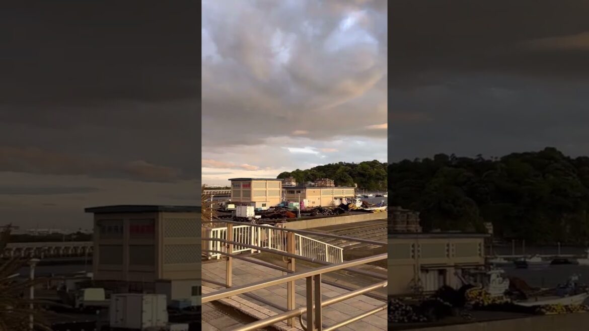 みんな湘南の海でも江ノ島でもない方にカメラ向けてると思ったら虹がでてました🌈