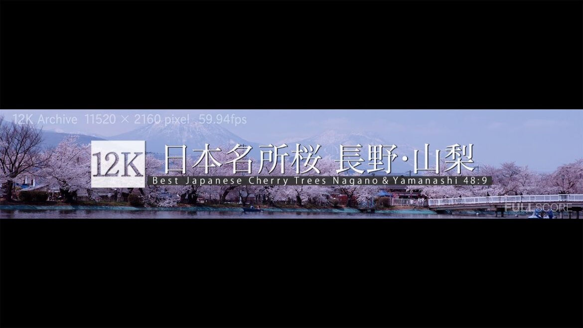 [12K footage] Best Japanese Cherry Trees spots Nagano snd Yamanashi【日本桜名所 長野・山梨_12K WIDE 48:9】