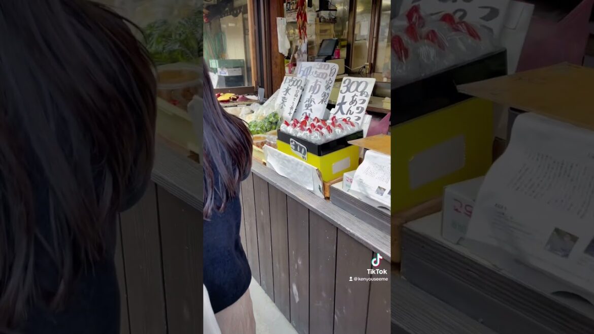 Oshino Hakkai | Village | Japan 🇯🇵 | Yamanashi | Mount Fuji #japan #oshinohakkai #yamanashi #fuji