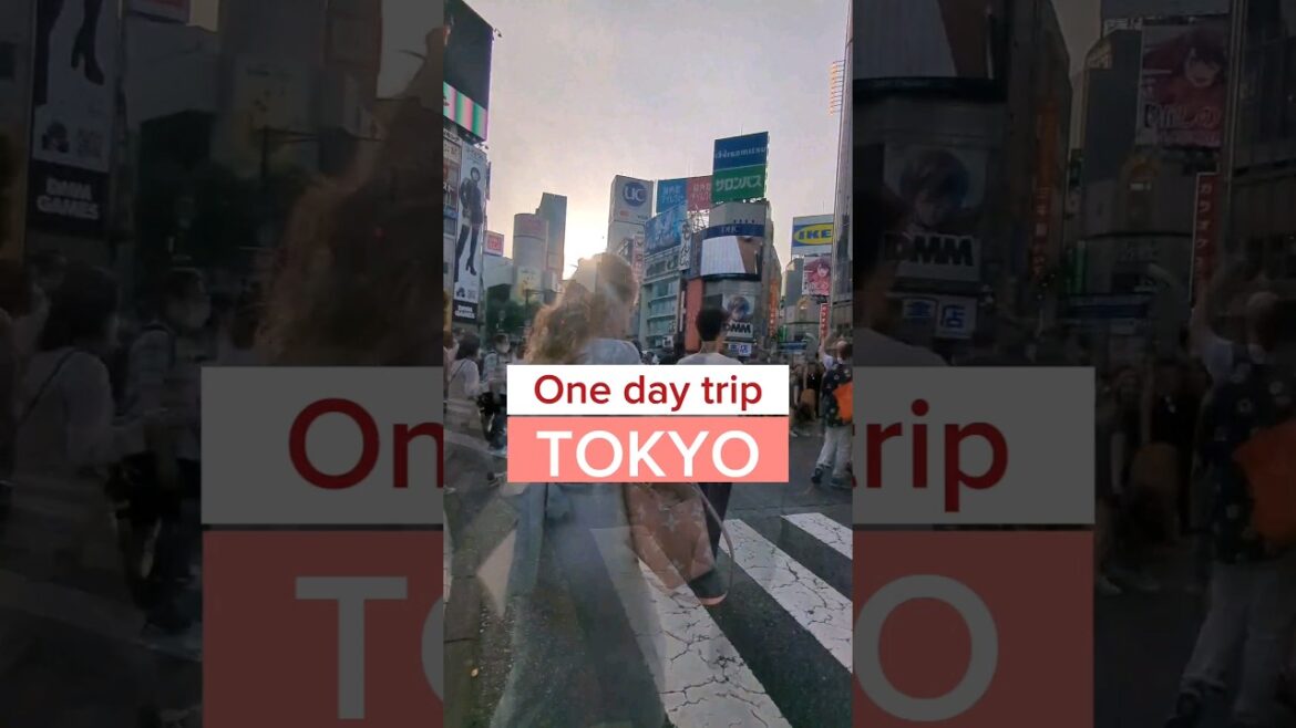 A day trip in Tokyo #thesgclub #uniqlo #unitora #seaurchin #shibuyacrossing #izakaya #craftcocktail