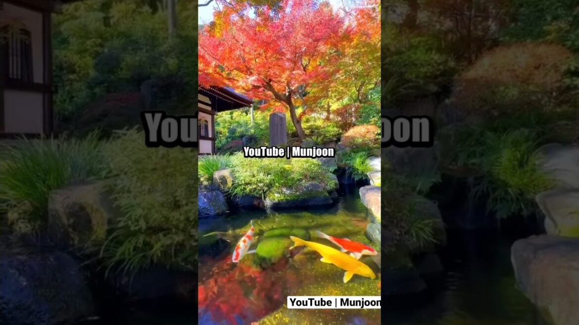 Japan Is not Real😲 Unveiling Nature's Unreal Wonders #shorts #travel #japan #tiktok #trending
