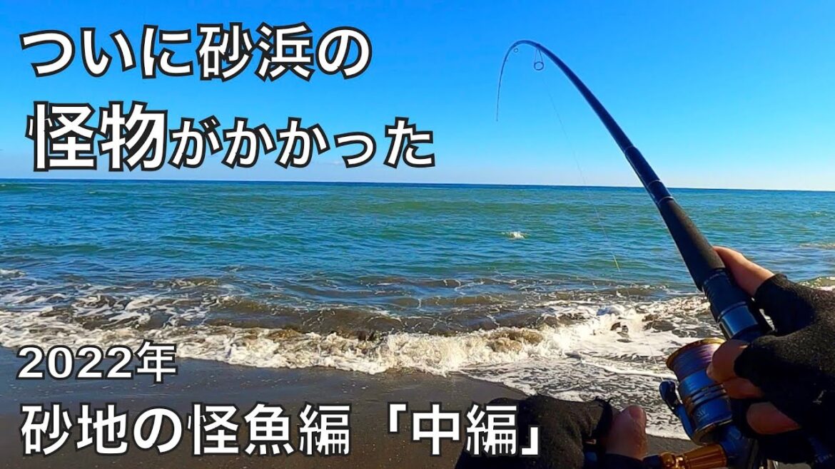 広大な砂浜で釣りし続けたら、とんでもない大物が掛かった。(2022年砂地の怪魚編中編)【車中泊釣り旅第三弾・西日本&九州編9話】 広大な砂浜で釣りし続けたら、とんでもない大物が掛かった。(2022年砂地の怪魚編中編)【車中泊釣り旅第三弾・西日本&九州編9話】