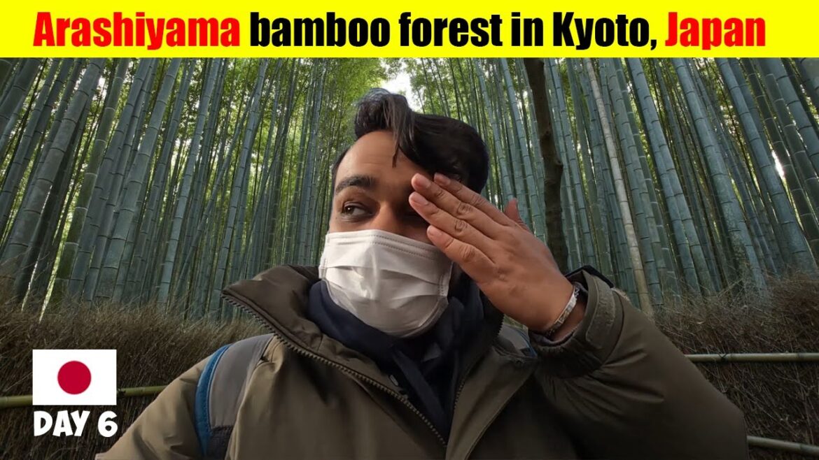 Bamboo and Kimono Forest in Kyoto | Travel Vlog | #japan #kyoto #arashiyama Bamboo and Kimono Forest in Kyoto | Travel Vlog | #japan #kyoto #arashiyama