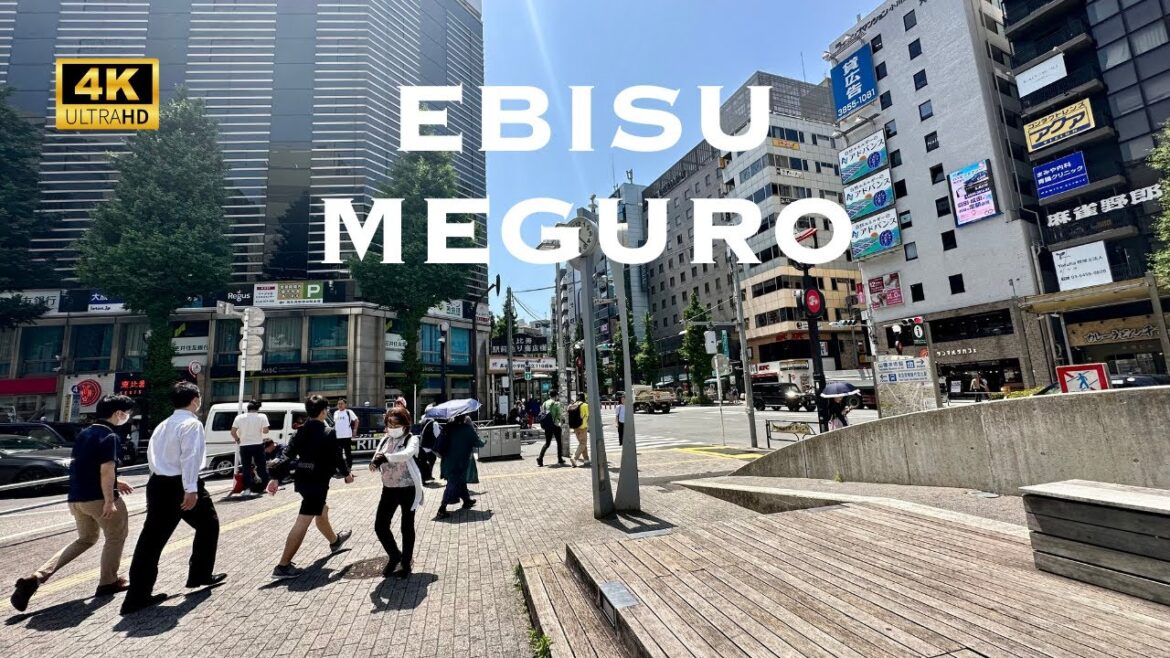 [4K] EBISU→MEGURO in Tokyo 💛 Nonstop Walking Tour / 恵比寿から目黒 散歩