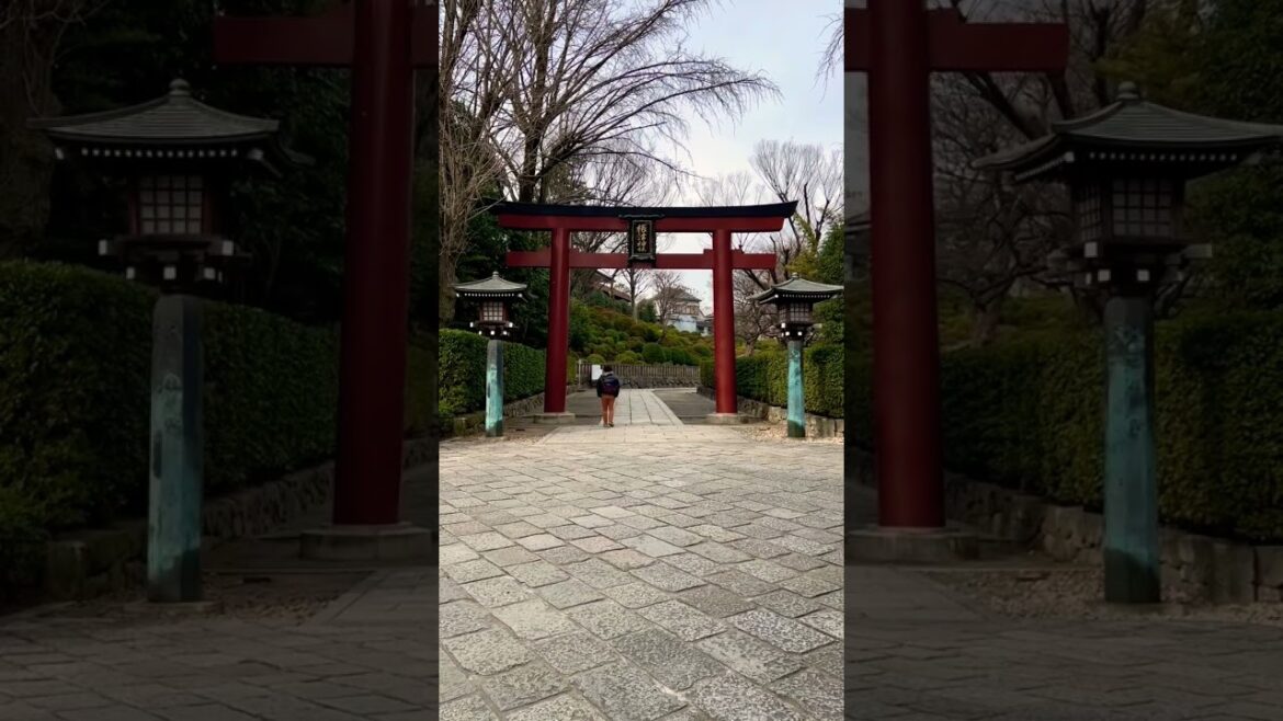 #explore #travel #nanaszahra #tokyo #video #views#reels  #youtubeshorts #intresting#shorts #youtube