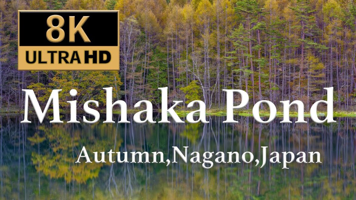 [8K60P] 御射鹿池の紅葉 Mishaka Pond Autumn Leaves ,Nagano,Japan