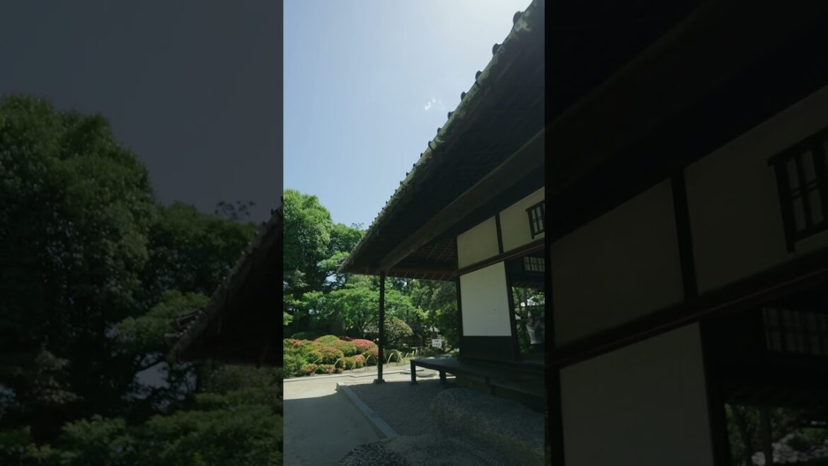 Nozaki's Historical Residence, Okayama Prefecture #shorts