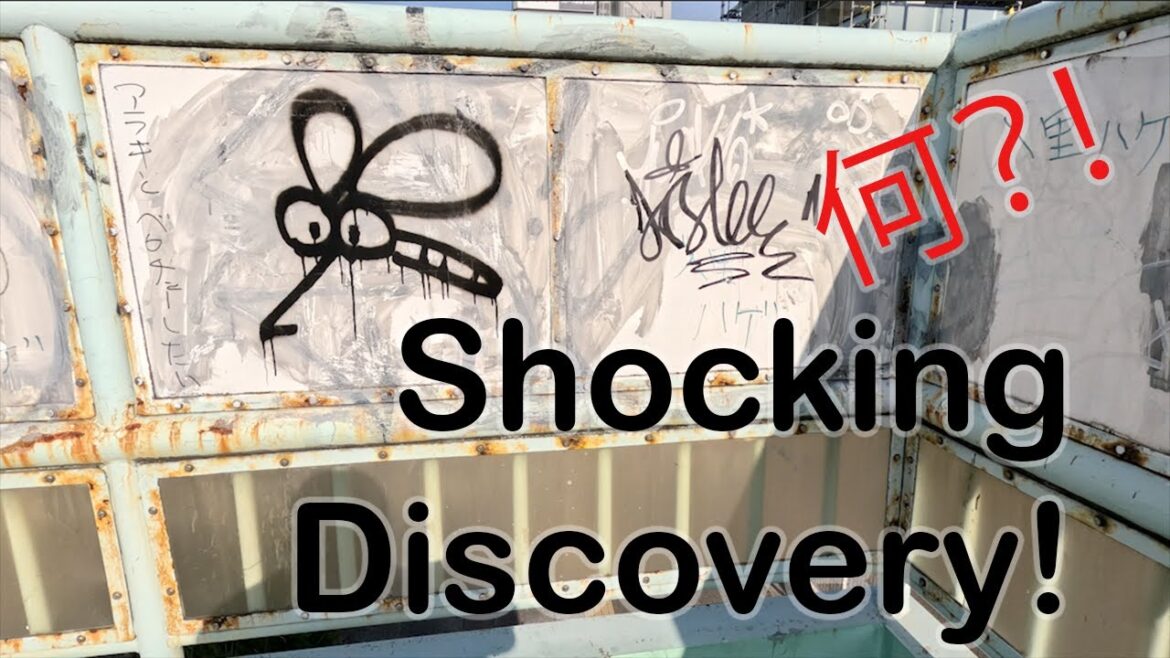 My Shocking Discovery In Osaka Japan! My Shocking Discovery In Osaka Japan!