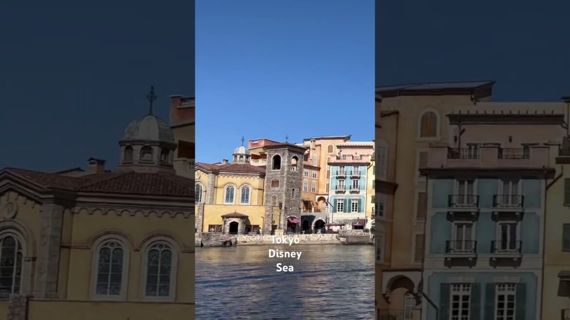 Tokyo Disney Sea #japan #travel #subscribe