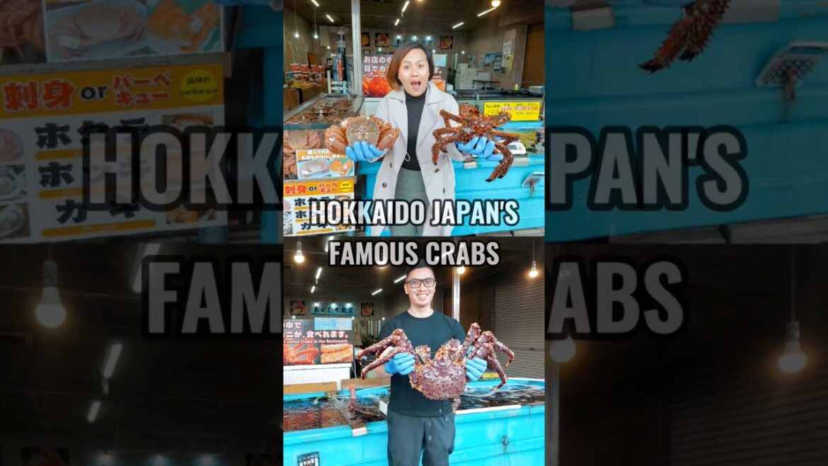 Seafood Mukbang: Feasting on Giant Crabs in Japan #mukbang #food #seafood #crab #japan #shorts