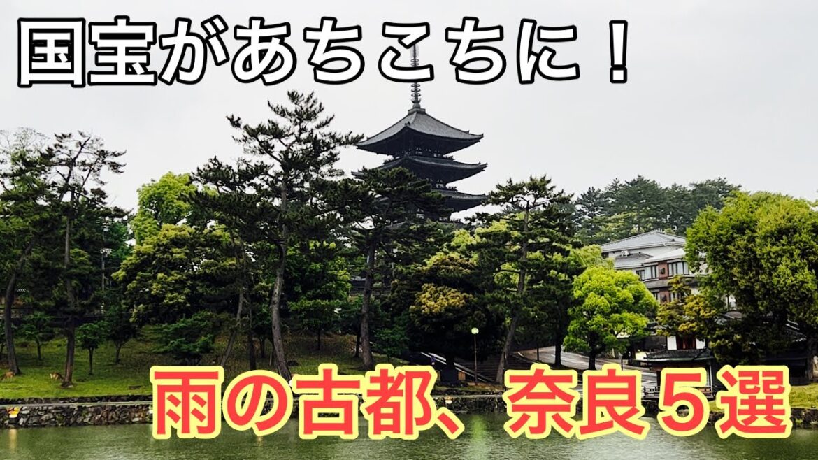 近畿旅行⑤　国宝があちこちに！雨の古都、奈良５選！！ Nara, travel, sightseeing