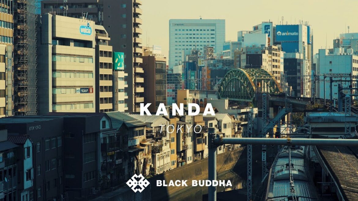 This Quiet Neighborhood In Tokyo Is Waiting To Be Discovered