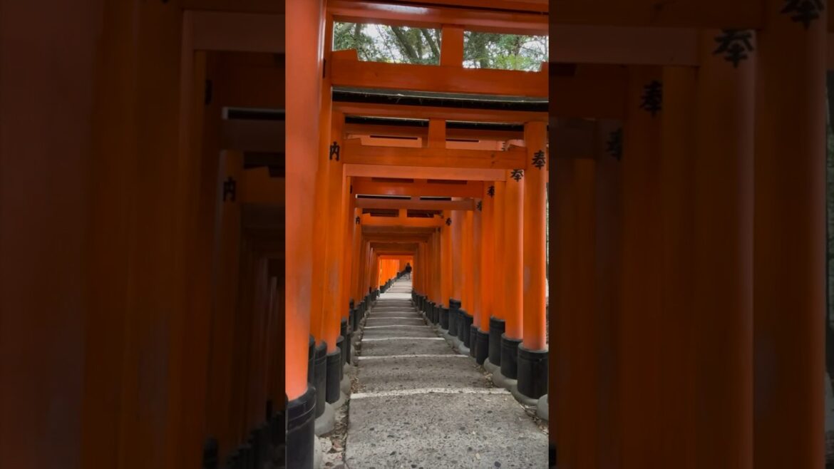 10 days in Japan itinary #japan #kyoto #osaka #mtfuji