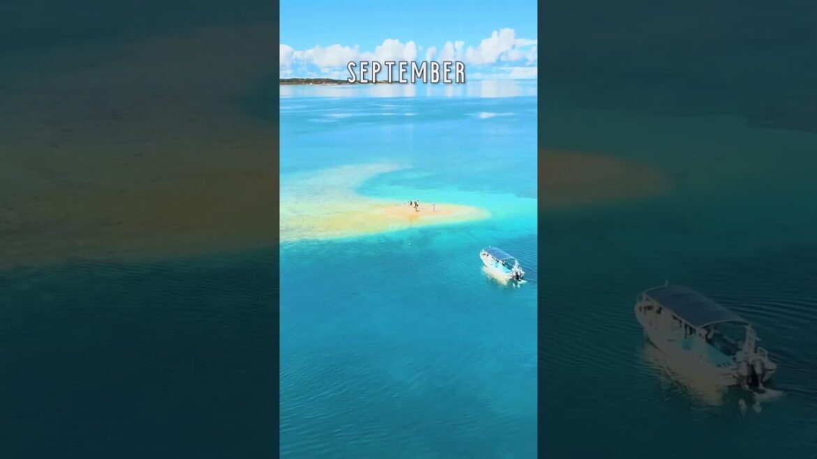 EVERY MONTH IN JAPANESE VIEW   #shorts #japanese #japan #japantravel  #tourism #trendingshorts