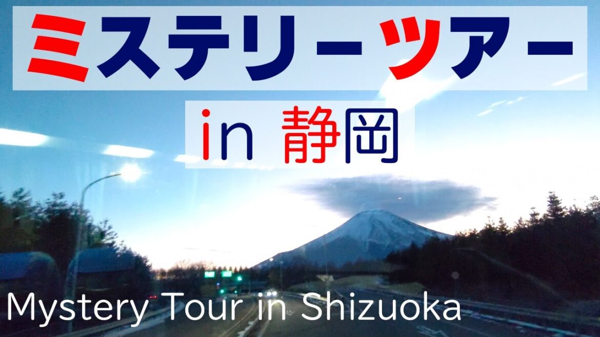 ミステリーツアー in 静岡 / 富士山 / 三嶋大社 / 海鮮ランチ / 沼津港 / 花の都公園 / イルミネーション / 詰め放題