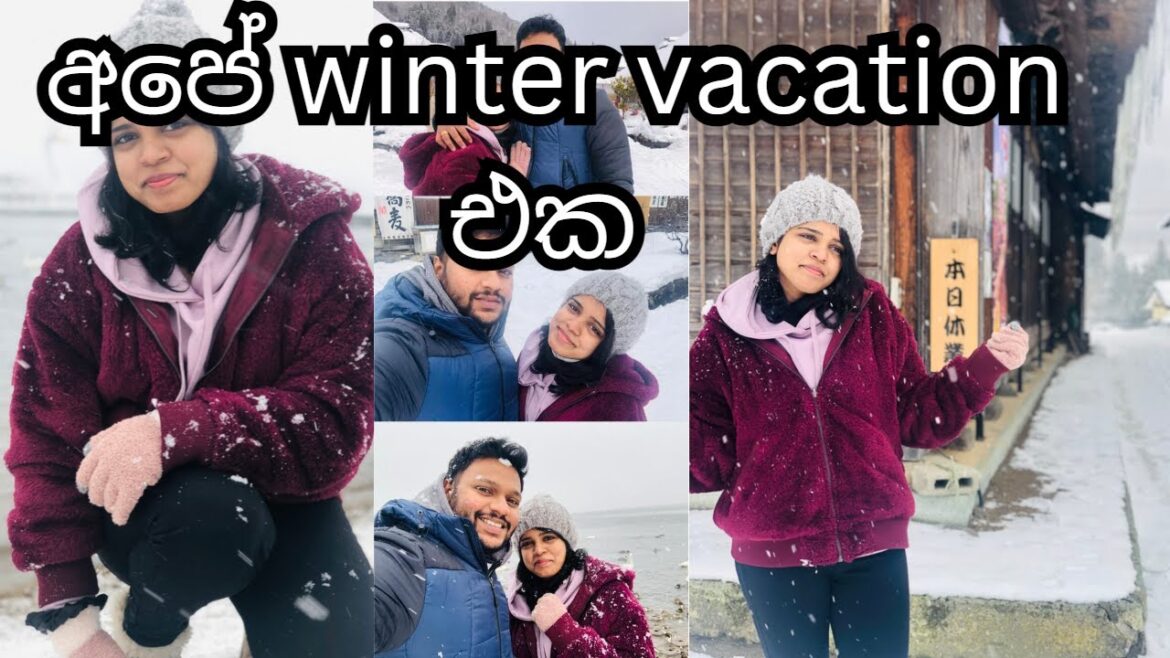 ජපානයේ අපේ winter vacation එක 😍☃️🌨️🗻 / life in japan🇯🇵 #dayinthelife #lifeinjapan ජපානයේ අපේ winter vacation එක 😍☃️🌨️🗻 / life in japan🇯🇵 #dayinthelife #lifeinjapan