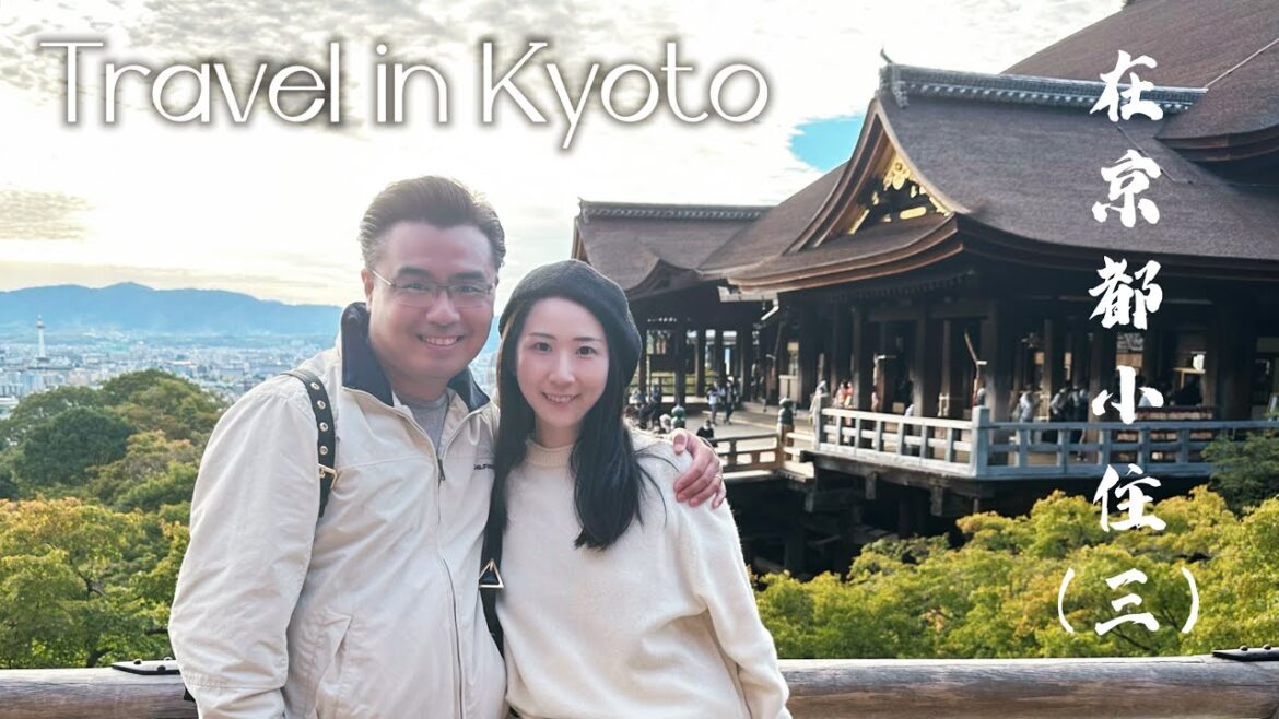 Travel Vlog 21 | 🇯🇵日本京都 Part 3 | Kyoto Part 3 | 旅行 Vlog | 在京都小住｜清水寺 | 金阁寺 | 鸭川 | Travel in Japan