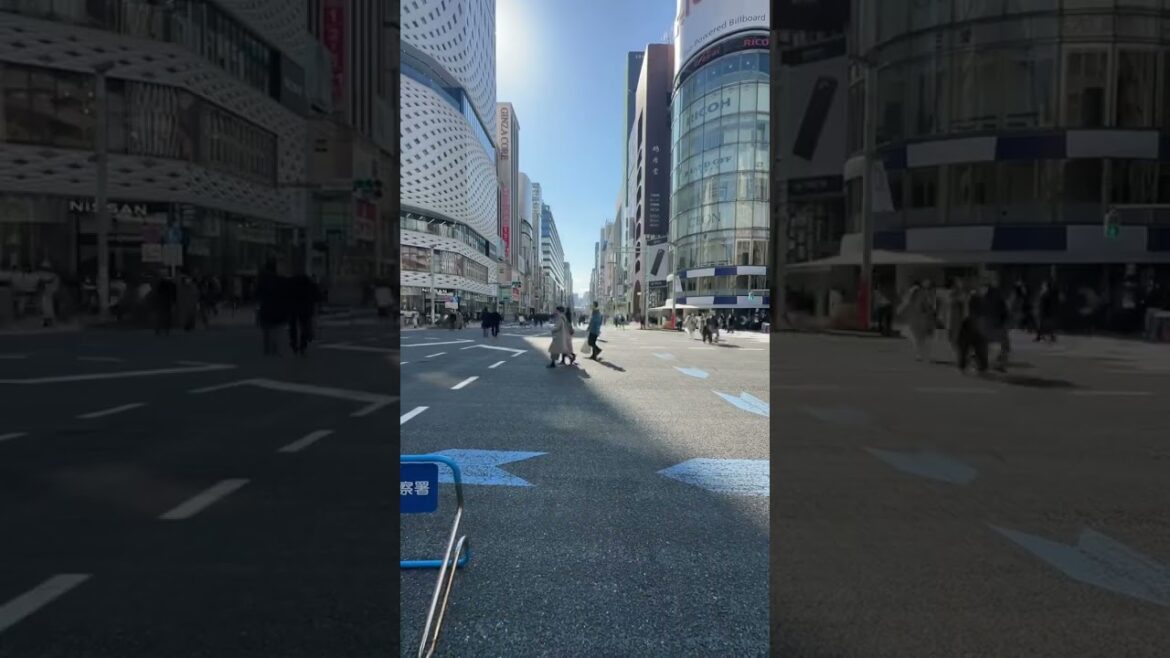 This is Tokyo on this National Holiday (everyone is here!). #japanlife