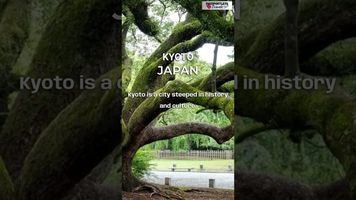 Discovering Kyoto Japan: A Traveler's Guide #shorts #japan #travel