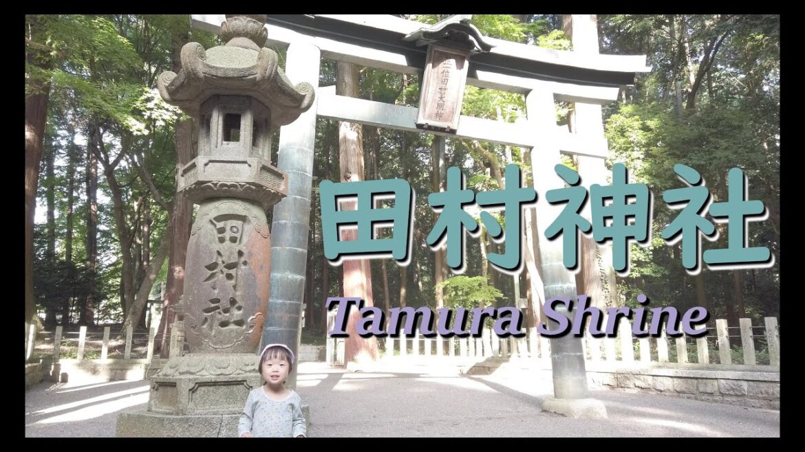 征夷大将軍坂上田村麻呂公 田村神社  滋賀県甲賀市 Tamura shrine Koka city Shiga Pref.  Japan 4K DJI Osmo pocket