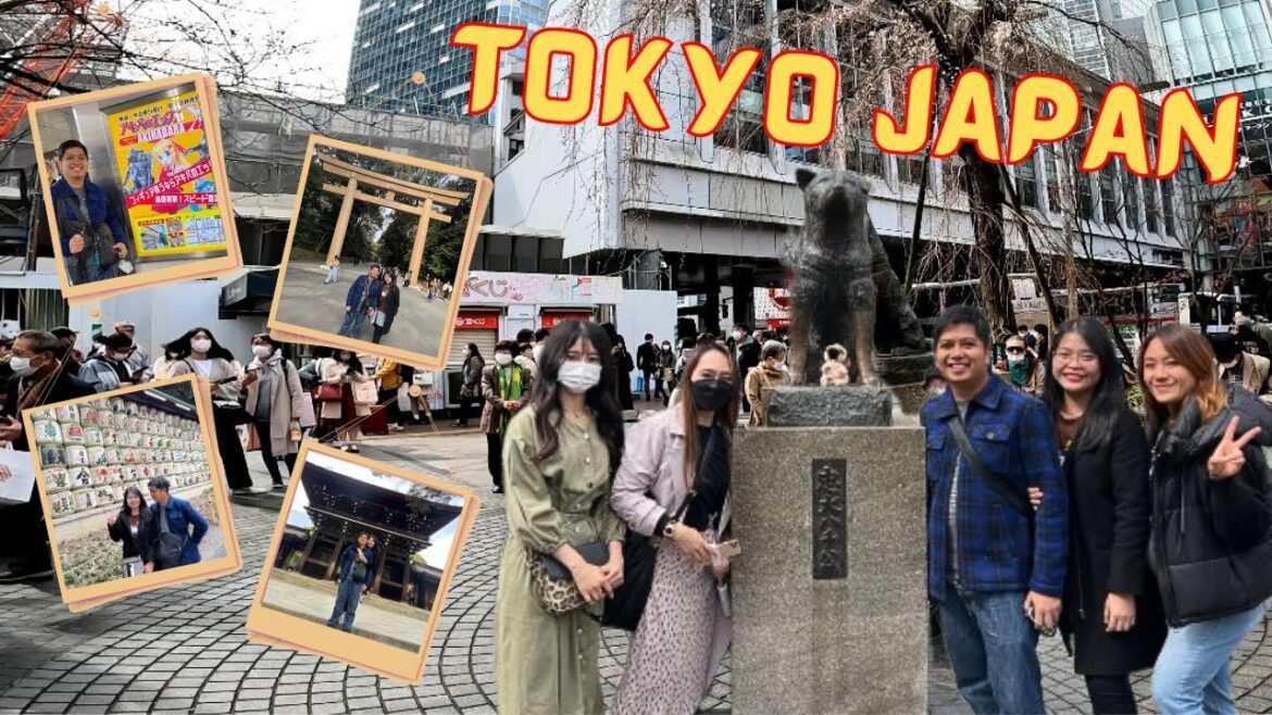 Visiting the famous Akita in Shibuya “Hachiko” | Walking around Meiji Shrine #japanvlog Visiting the famous Akita in Shibuya "Hachiko" | Walking around Meiji Shrine #japanvlog