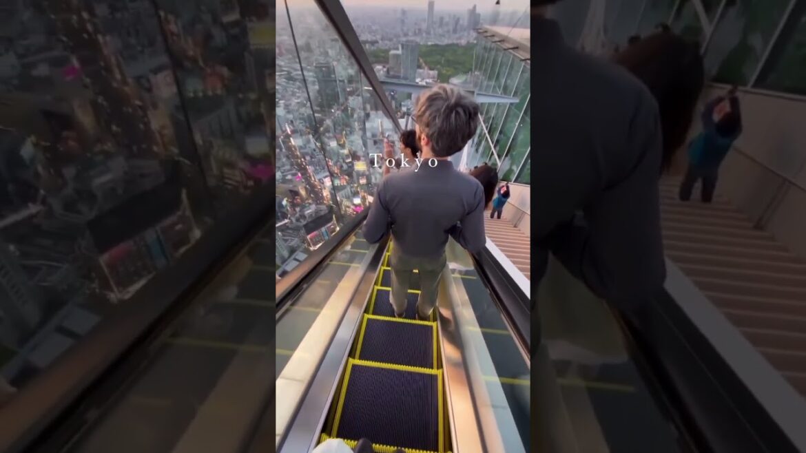 Places On Earth That Don’t Feel Real – Tokyo #travel #tiktok #shorts #explore #destinations Places On Earth That Don't Feel Real - Tokyo #travel #tiktok #shorts #explore #destinations