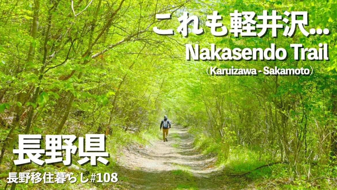 【長野移住】軽井沢から碓氷峠を越えて坂本宿へ!!静かな森の中を歩いた後は絶品カレー!!｜中山道｜軽井沢｜坂本宿｜田舎暮らし｜長野県｜4K
