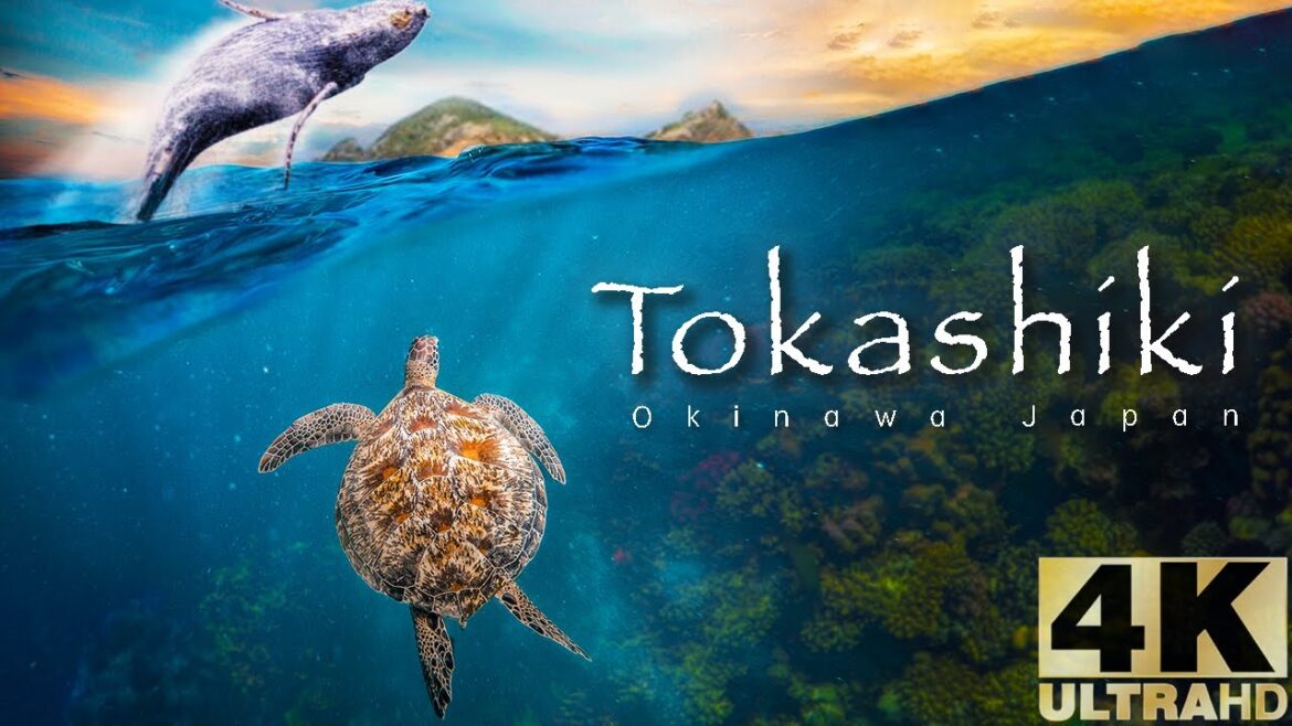 Tokashiki island : The jewel of Okinawa Japan Tokashiki island : The jewel of Okinawa Japan