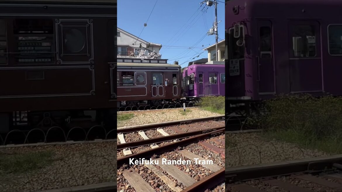 Train Arriving in Japan. 🚞 列車旅行 (Ressha ryokō)#shorts #japantravel #japan #trains