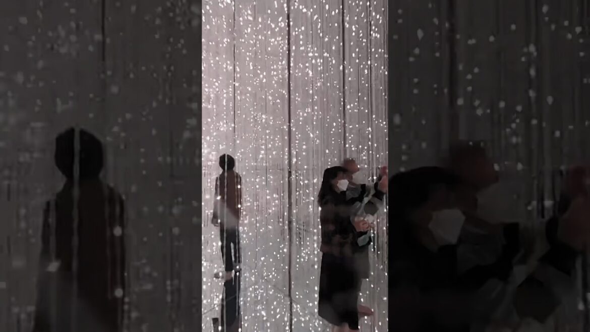 Two Days In Tokyo #travel #vacation #tokyo #asia #japan #insta360 #drone