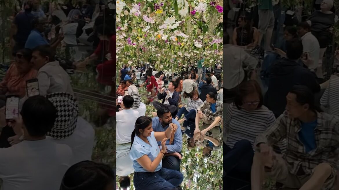 ജപ്പാനിലെ പൂക്കളും പുഴകളും #travel #laljose #japan #tour #life #baijunnair #laljose #flowers