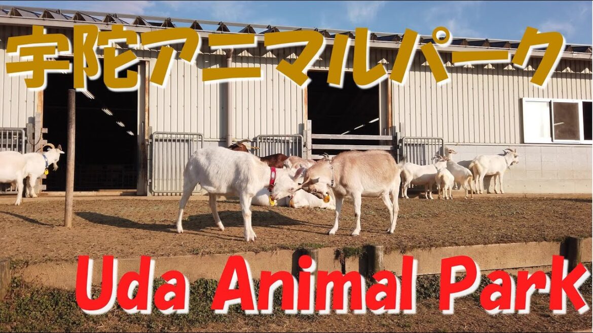 【公園紹介】動物園に連れて行きたいけど、お金がない...そんなあなたに　うだアニマルパーク Uda animal Park uda city Nara Japan 4K DJI Osmo pocket