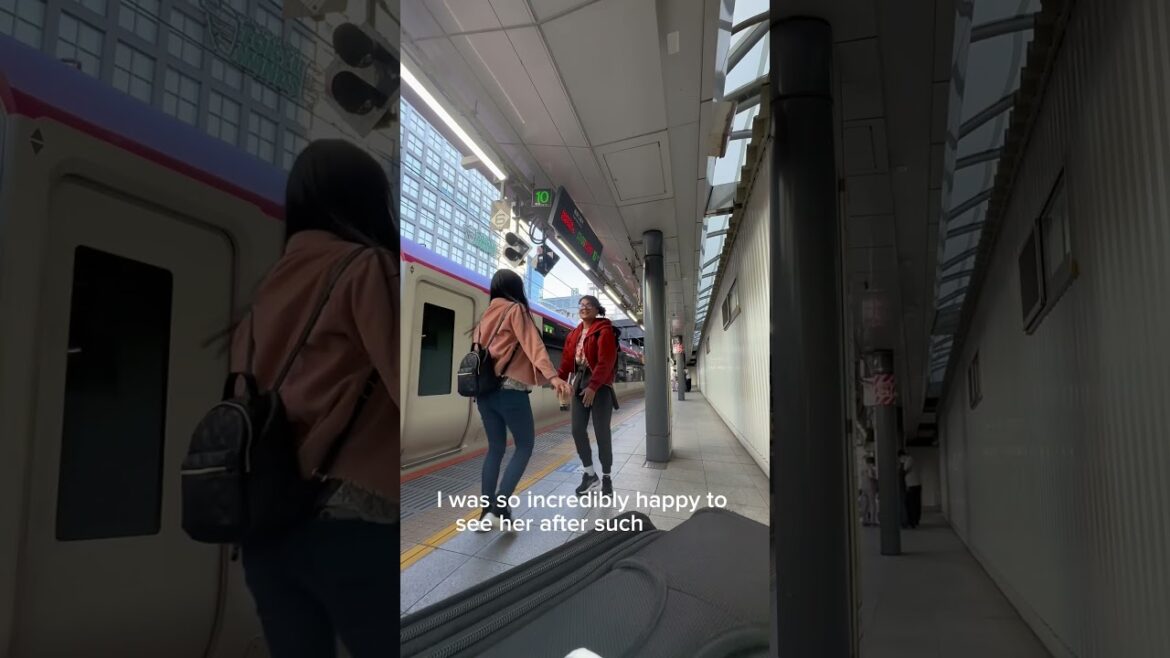 #japan #japantravel #traveltojapan #travel  #japantrip #tokyo #travelshorts  #longflight #viral