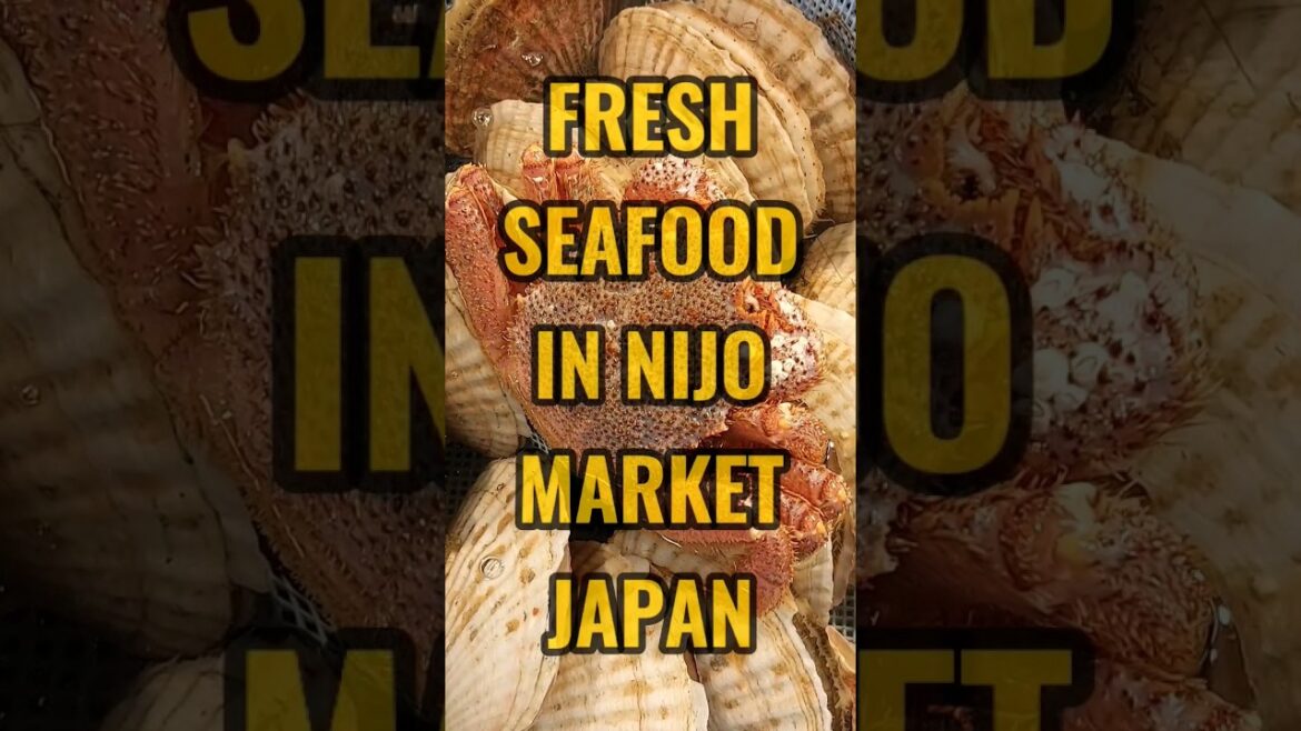 Mouthwatering Fresh Seafood in Hokkaido's Hidden Gem Nijo Fish Market #japan #food #seafood #shorts