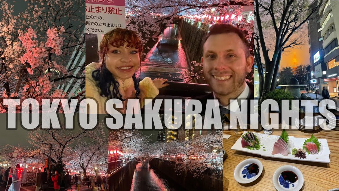 1st CHERRY BLOSSOM Festival - Sakura Season in Tokyo - Nakameguro River Sakura Tree Illuminations