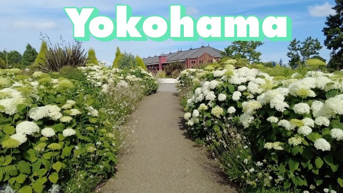 Yokohama🇯🇵 Walking Tour - June 2023 | Kanagawa,Japan 横浜散歩 みなとみらい