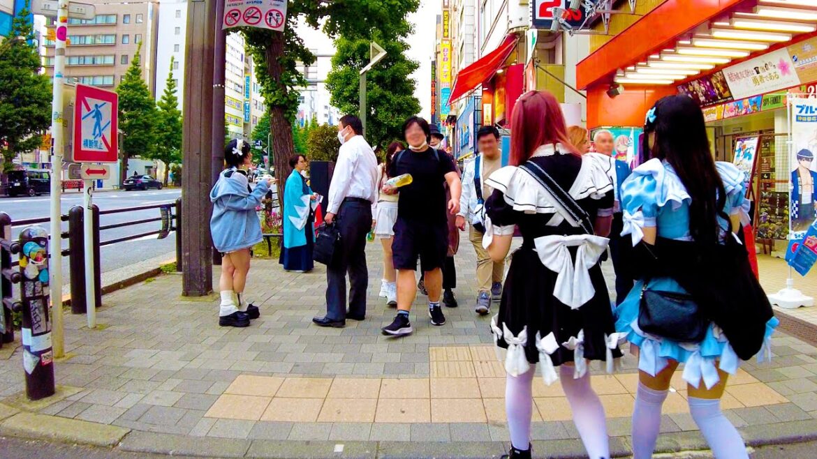 Akihabara in Tokyo 🐶🍻Moe Moe Town♪💖4K ASMR non-stop 1 hour 01 minutes Akihabara in Tokyo 🐶🍻Moe Moe Town♪💖4K ASMR non-stop 1 hour 01 minutes