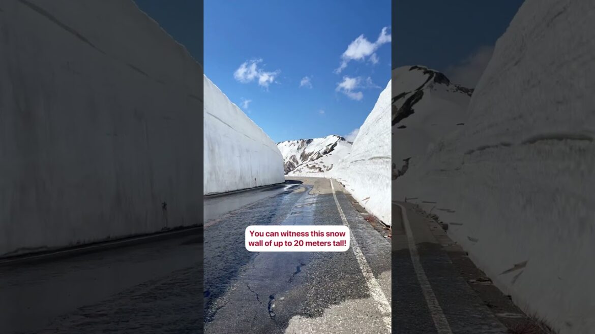 Day Trip visiting Snow Walls and so much more 😚 Day Trip visiting Snow Walls and so much more 😚