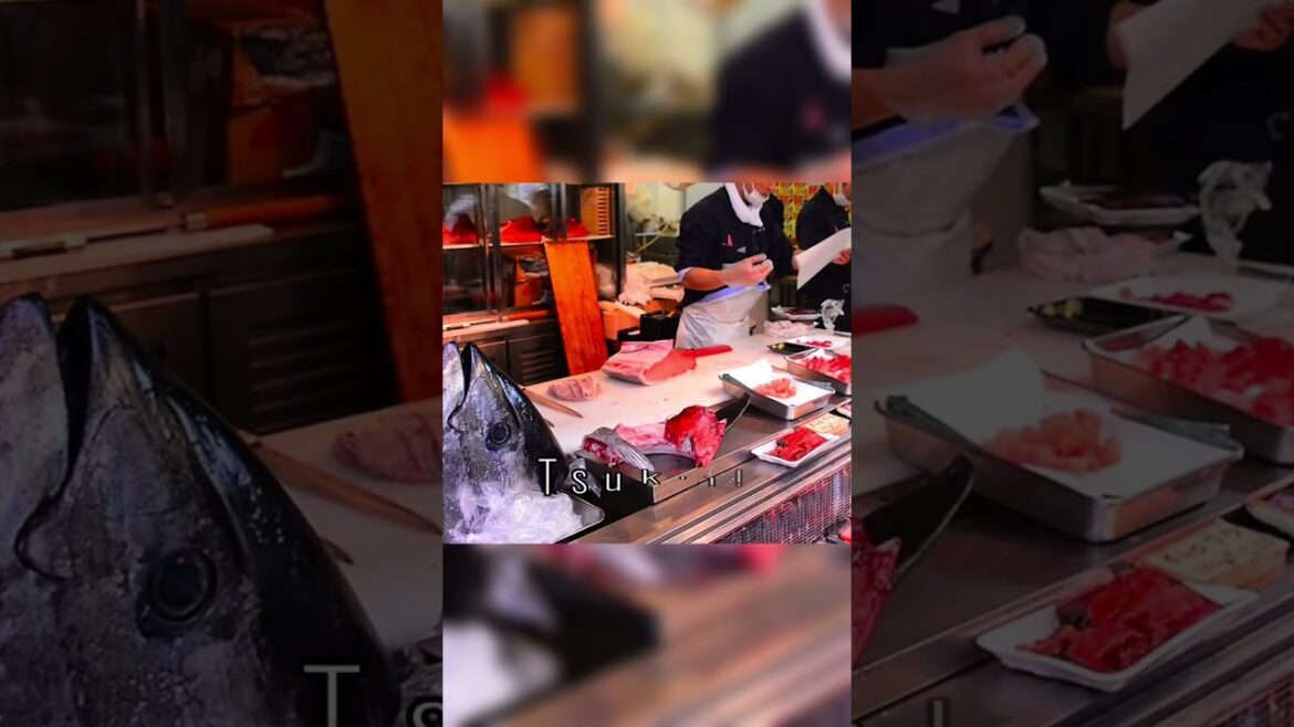 Tokyo Japan 🇯🇵 #top10 #travel #beautifulplaces #touristattractions #places #shorts